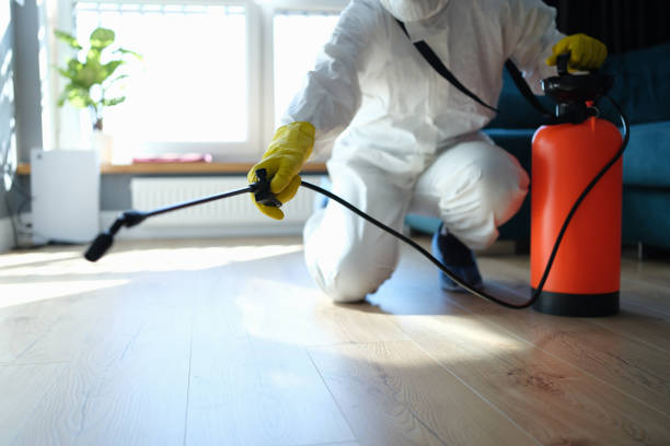 Reliable Odor Removal contractor in Lisbon, ME by Trauma Clean Pros